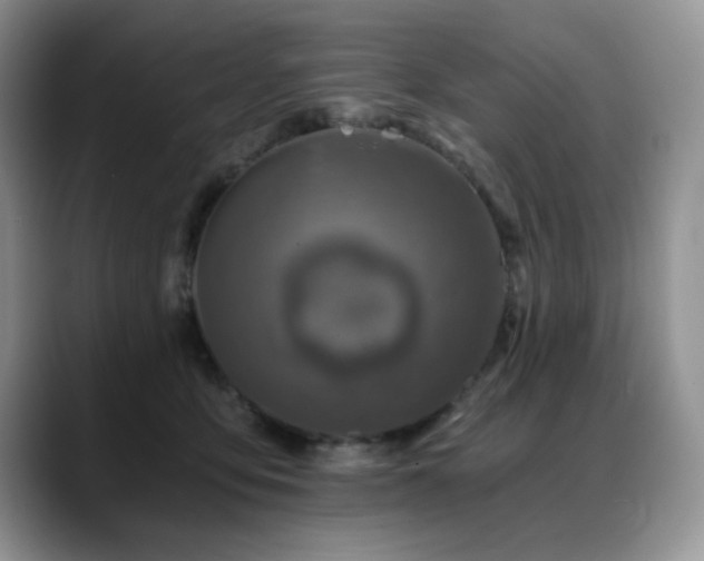 X0000088890419200706081251