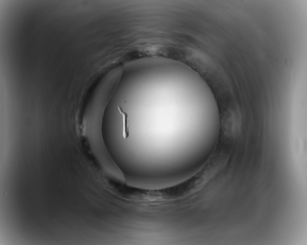 X0000088890420200706081251