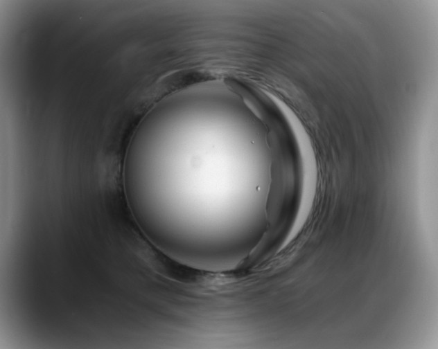 X0000088890421200706081251