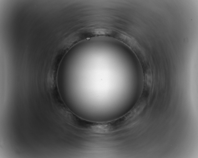 X0000088890422200706081251