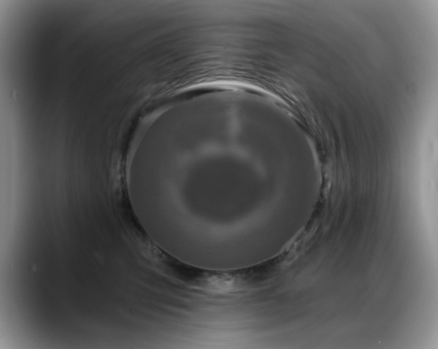 X0000088890423200706081251