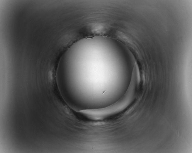 X0000088890424200706081251