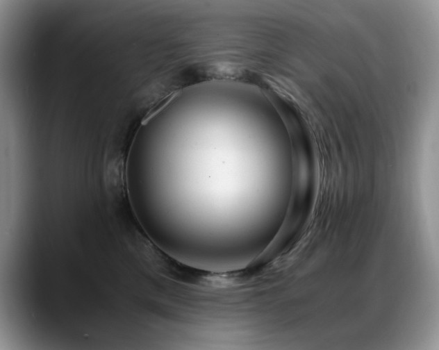 X0000088890425200706081251