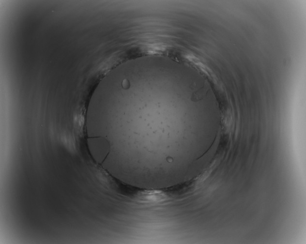 X0000088890427200706081251