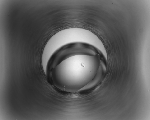 X0000088890428200706081251