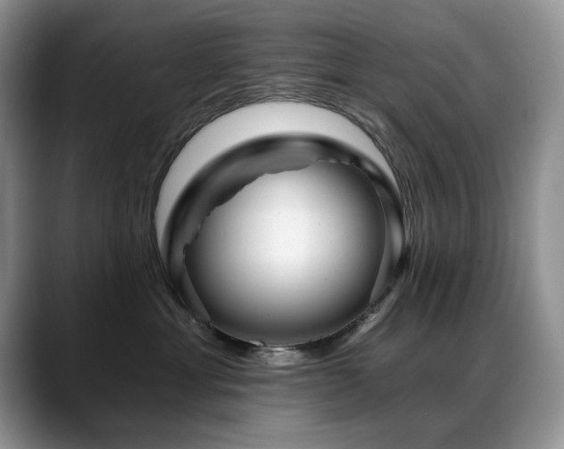 X0000088890429200706081251