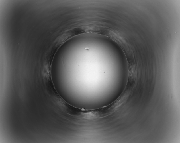 X0000088890430200706081251