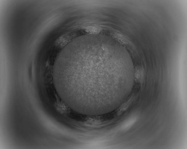 X0000088890431200706081251