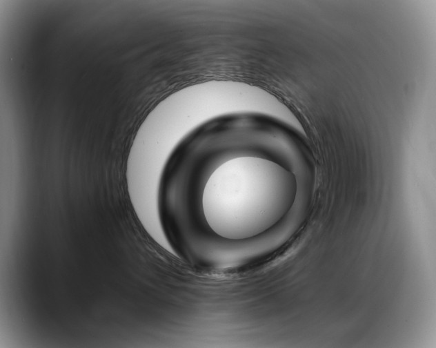 X0000088890432200706081251