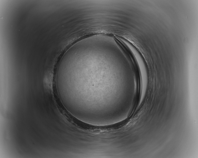 X0000088890434200706081251