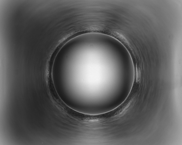 X0000088890435200706081251