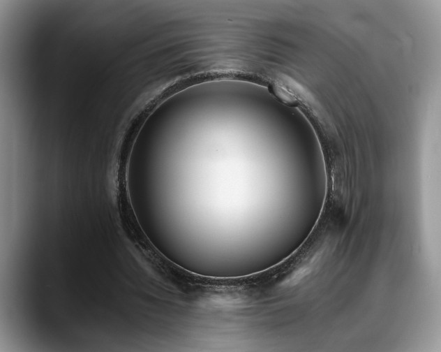 X0000088890436200706081251