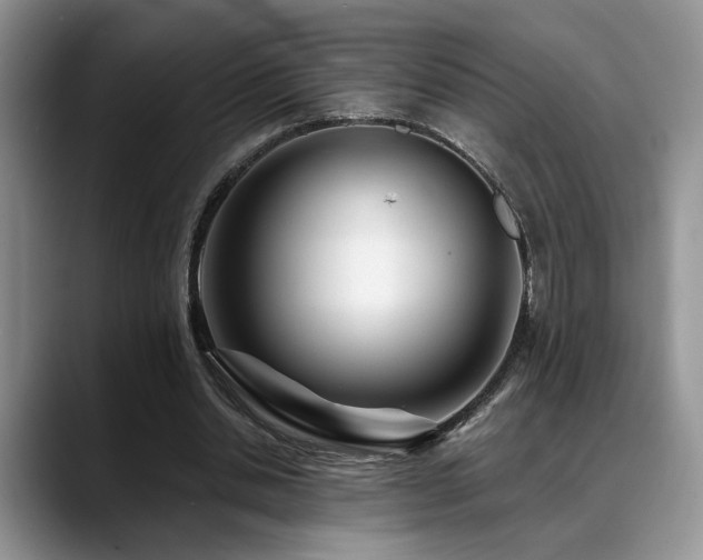 X0000088890438200706081251