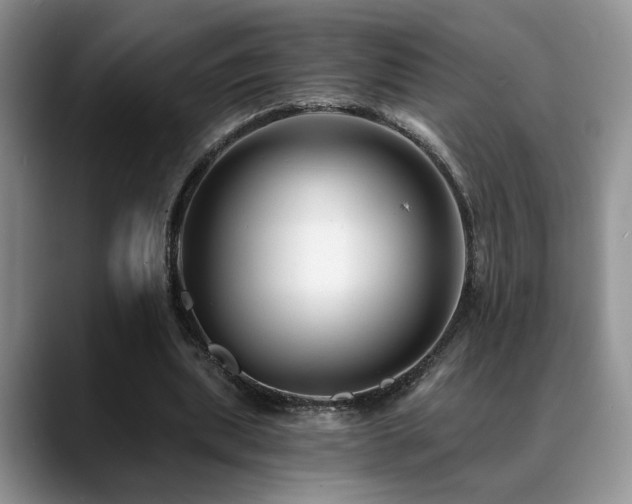 X0000088890439200706081251