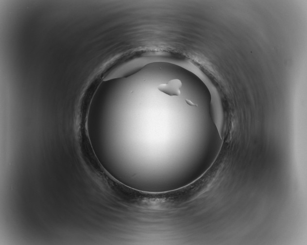 X0000088890440200706081251