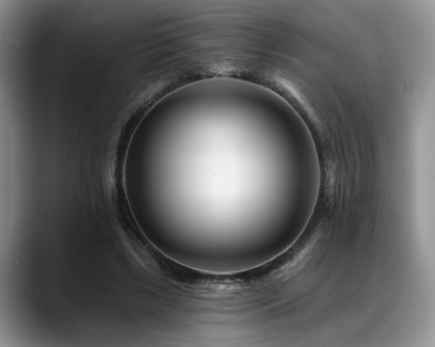 X0000088890443200706081251