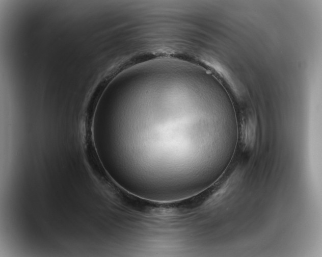 X0000088890444200706081251