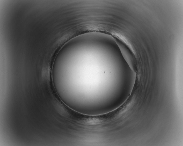 X0000088890445200706081251