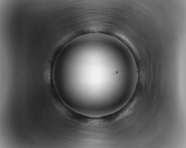 X0000088890446200706081251