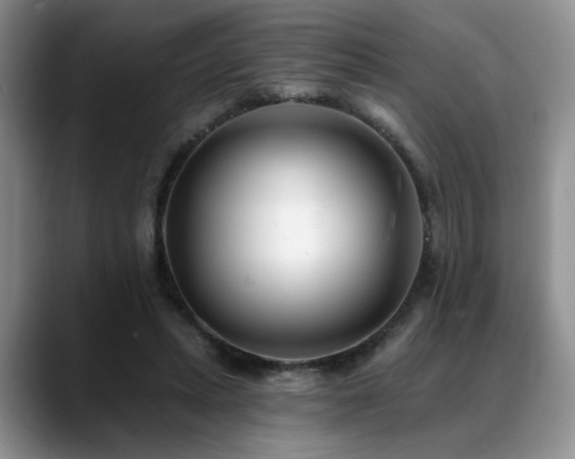 X0000088890447200706081251