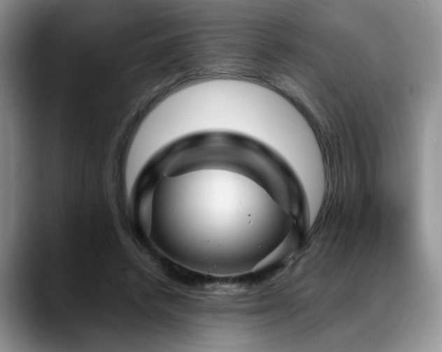 X0000088890448200706081251