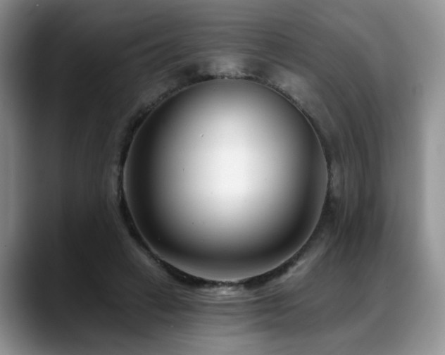 X0000088890449200706081251