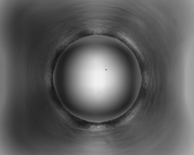 X0000088890450200706081251