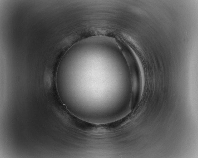 X0000088890451200706081251