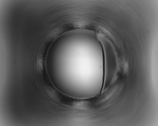 X0000088890452200706081251