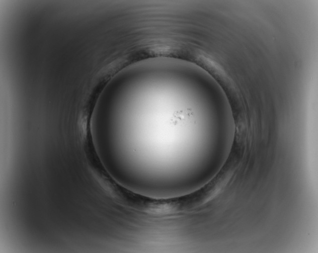 X0000088890454200706081251