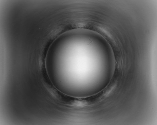 X0000088890455200706081251