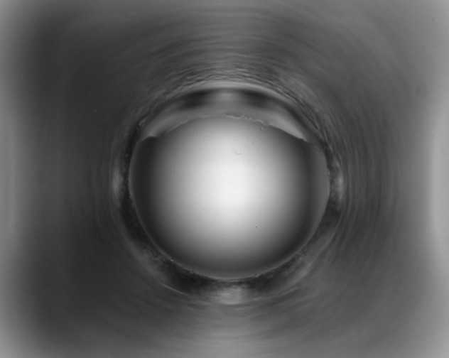 X0000088890456200706081251