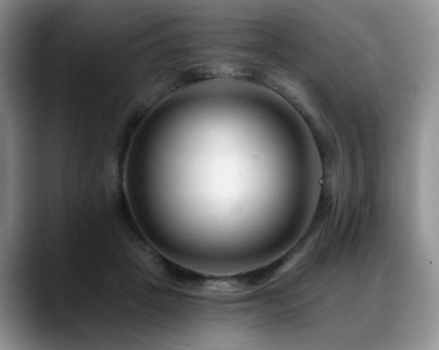 X0000088890457200706081251