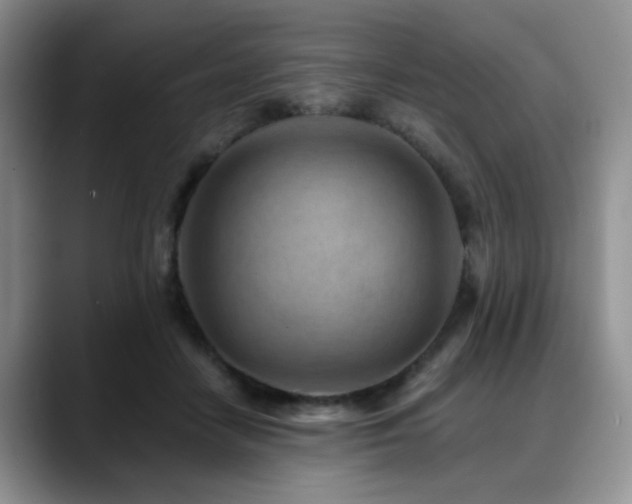 X0000088890458200706081251