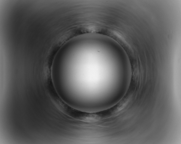 X0000088890459200706081251