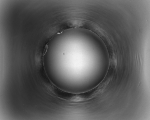 X0000088890460200706081251