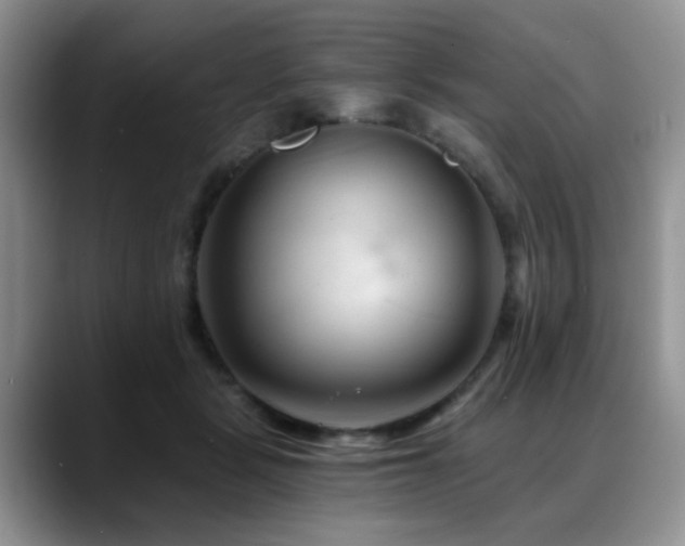 X0000088890461200706081251