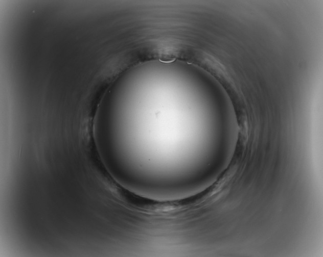 X0000088890462200706081251