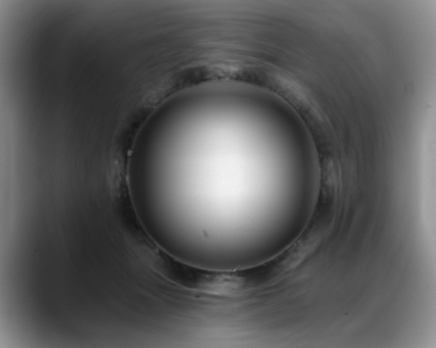 X0000088890463200706081251