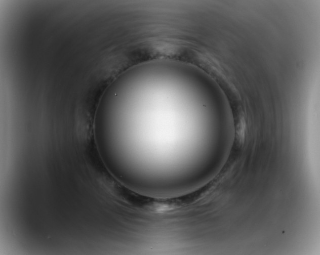 X0000088890464200706081251