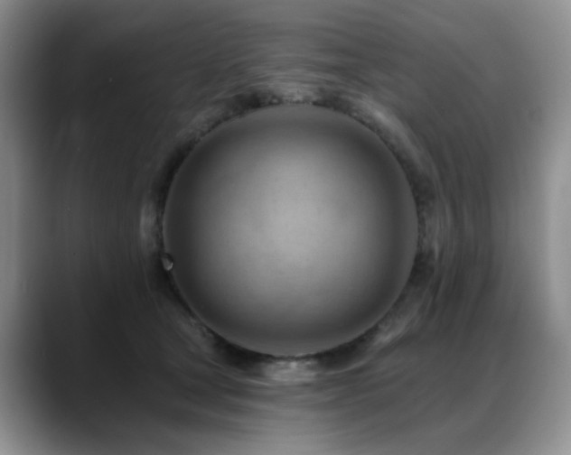 X0000088890465200706081251