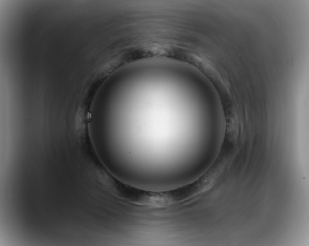 X0000088890466200706081251