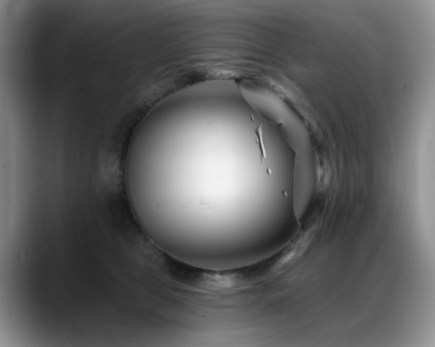 X0000088890469200706081251