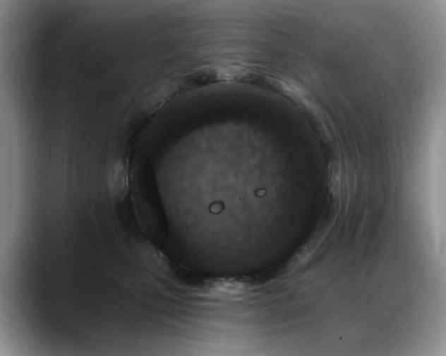 X0000088890471200706081251