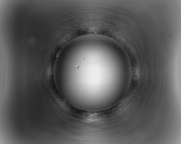 X0000088890472200706081251