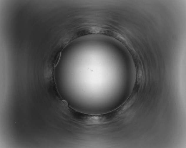 X0000088890473200706081251