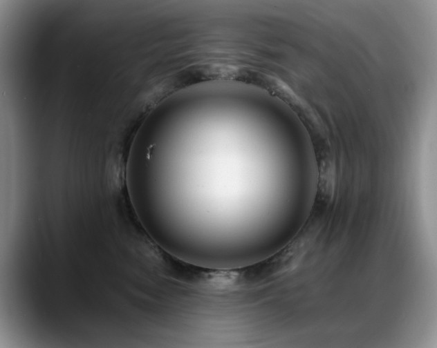 X0000088890474200706081251