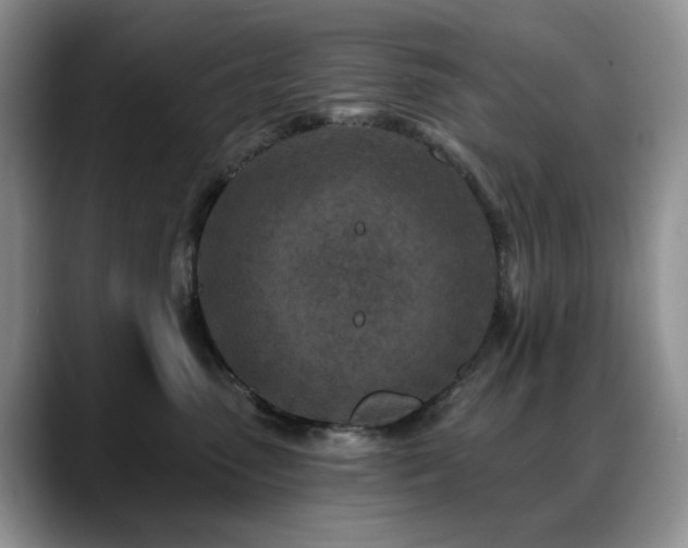 X0000088890475200706081251