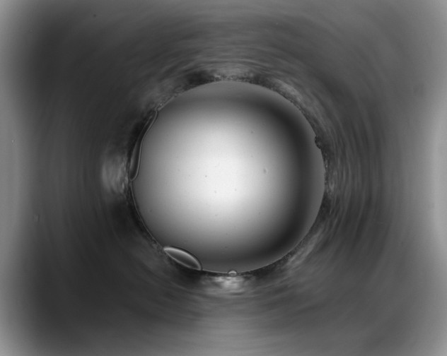 X0000088890478200706081251