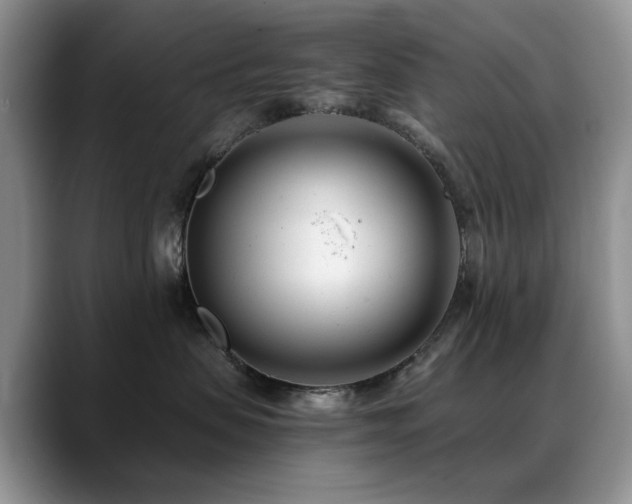 X0000088890479200706081251